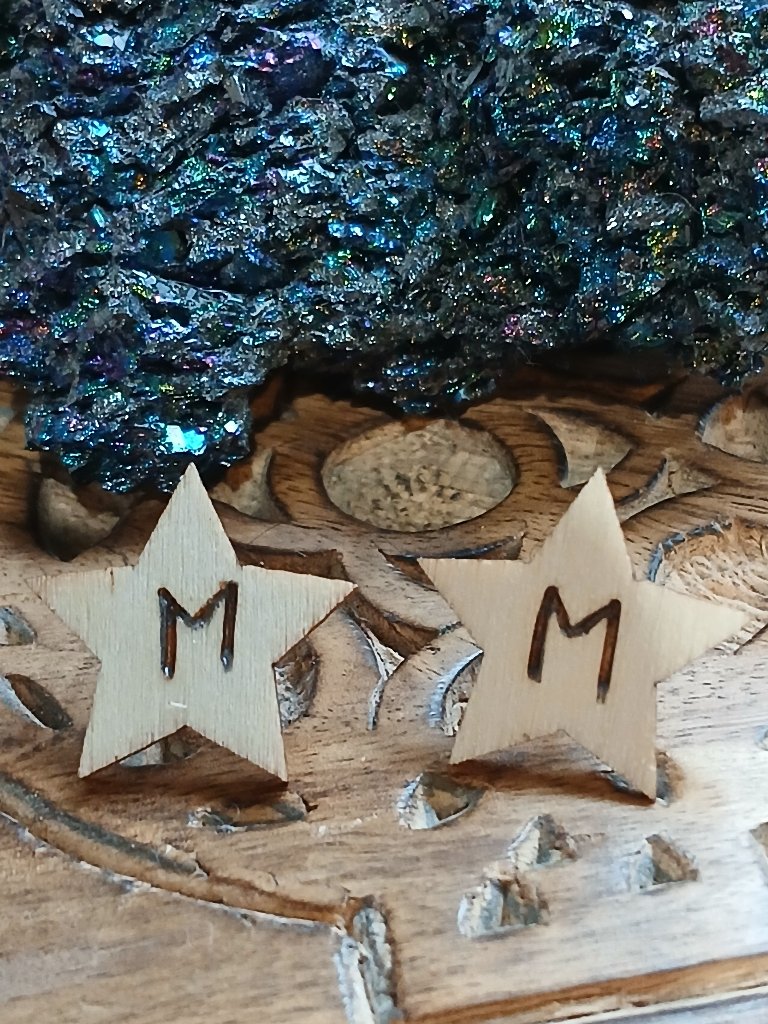 Ehwaz: Norse Runes Wood Burned Stars Hypoallergenic Earrings